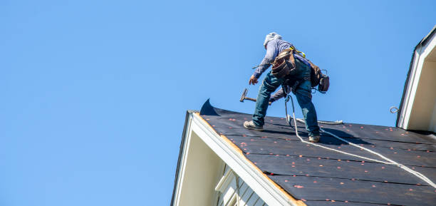 Best Storm Damage Roof Repair  in Fruitland Park, FL